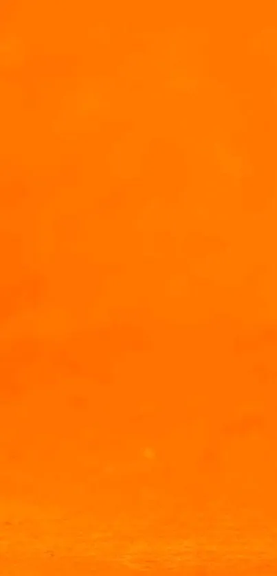 Bright and vivid orange mobile wallpaper.