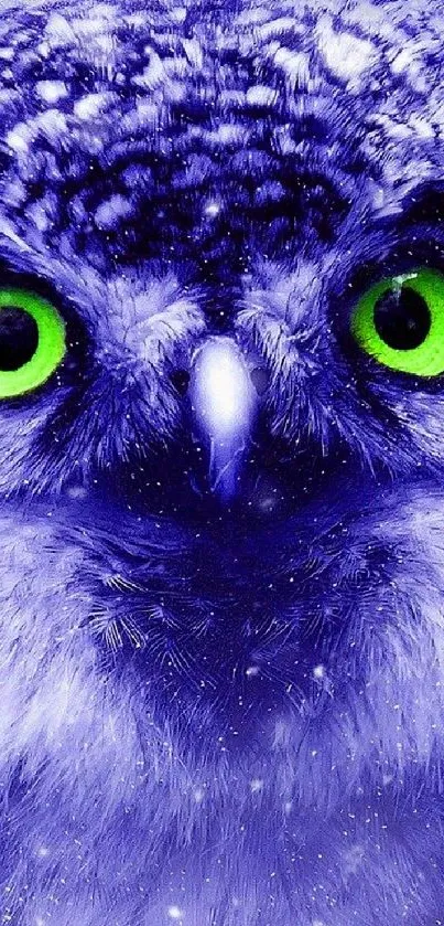 Vivid owl with green eyes on blue background wallpaper.