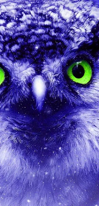 Vibrant blue owl wallpaper with striking green eyes.