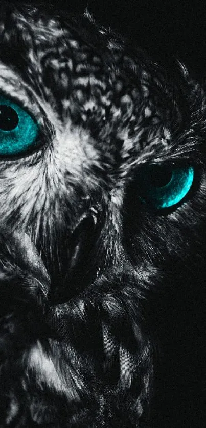 Vivid teal-eyed owl mobile wallpaper design.