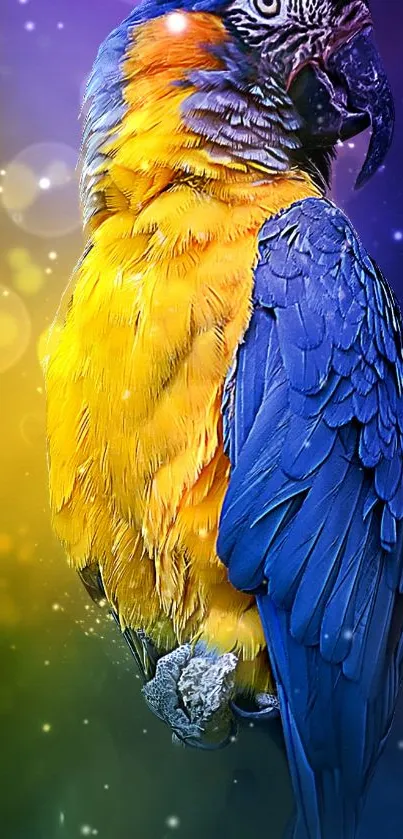 Vibrant parrot with blue and yellow feathers in a bokeh background.
