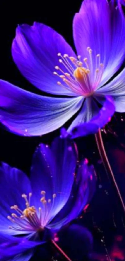 Vivid purple flower blossoms on a dark background in an elegant mobile wallpaper.