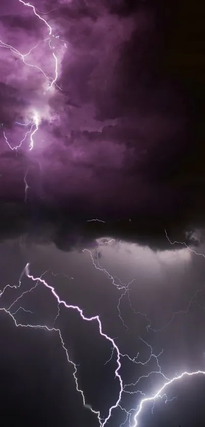 Purple lightning storm with dramatic clouds.