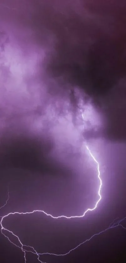 Purple lightning striking through dark clouds in a night sky.