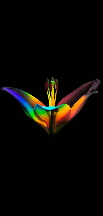 Colorful rainbow flower on black background wallpaper.