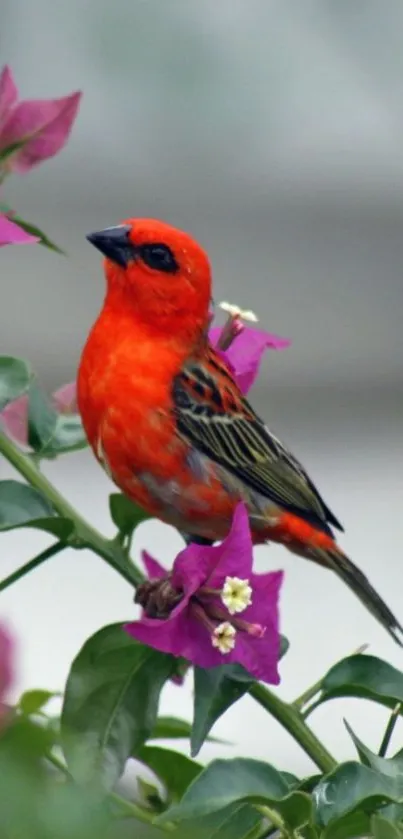 Vibrant red bird perched on purple flowered branch, showcasing vivid nature.