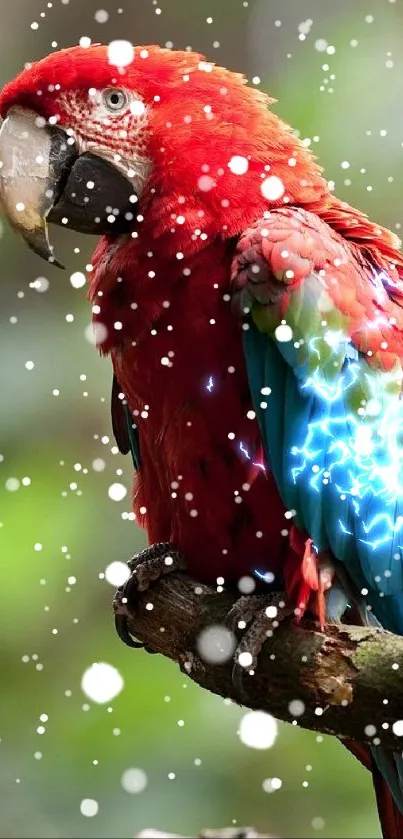 Scarlet Macaw perched on a branch, displaying vibrant red and blue feathers.