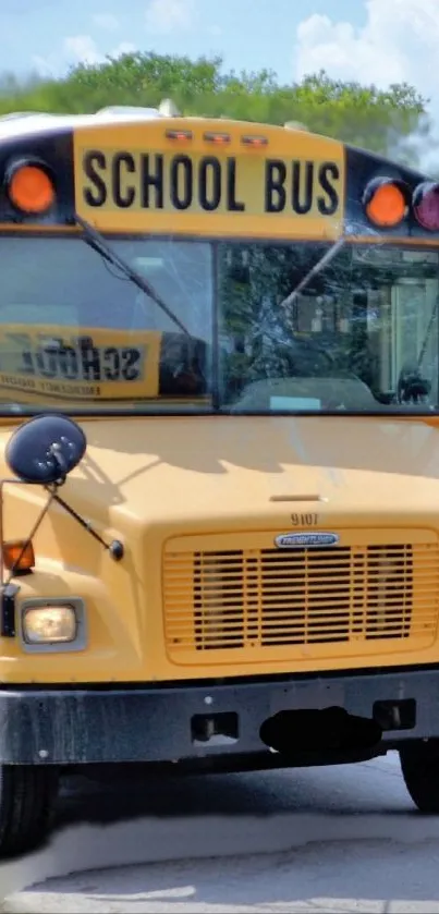 Bright yellow school bus on a sunny day.