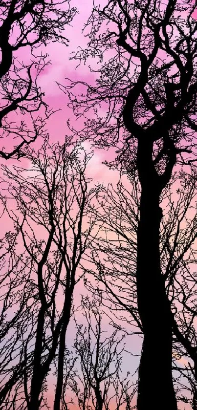 Pink and purple sunset with tree silhouettes in mobile wallpaper.