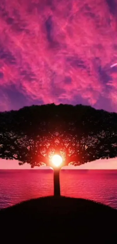 Silhouetted tree against vivid pink sky at sunset wallpaper.