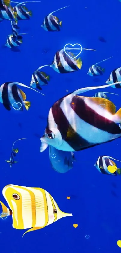 Colorful tropical fish swimming in a deep blue ocean background.