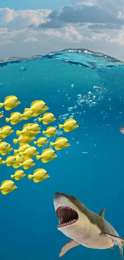 Underwater scene with shark and yellow fish against a blue ocean backdrop.