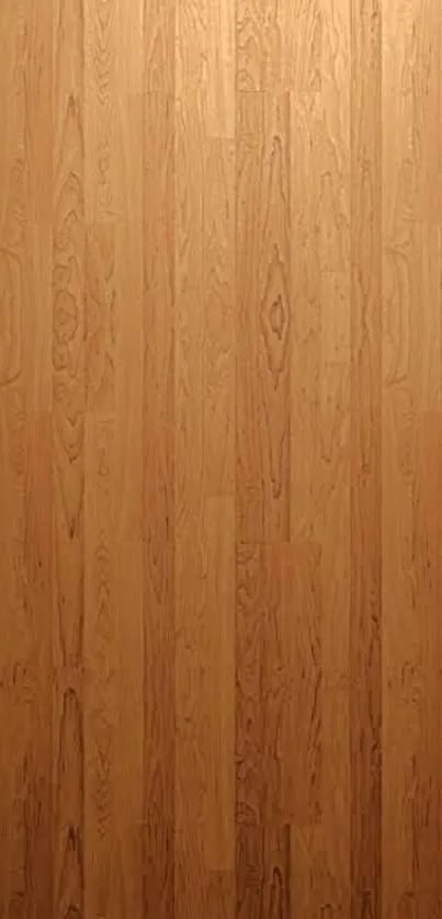Wall Brown Door Live Wallpaper