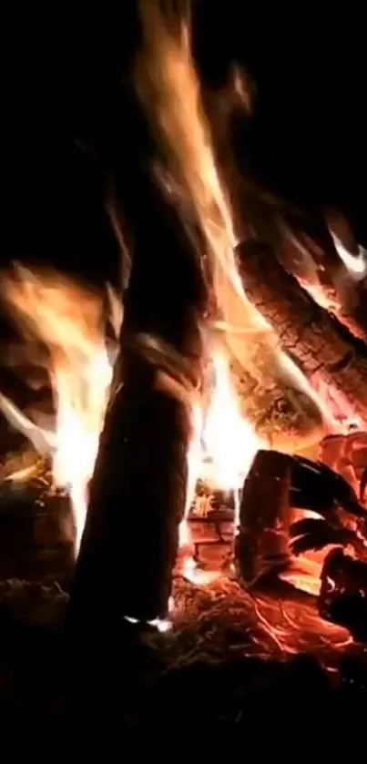 A cozy night campfire with bright, glowing flames and burning logs.