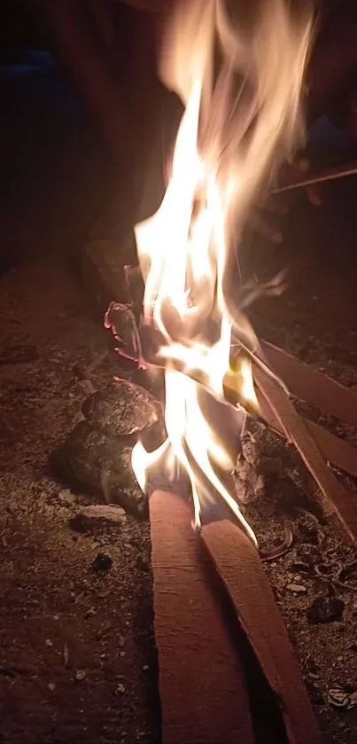 Crackling campfire providing warm glow on a dark night.