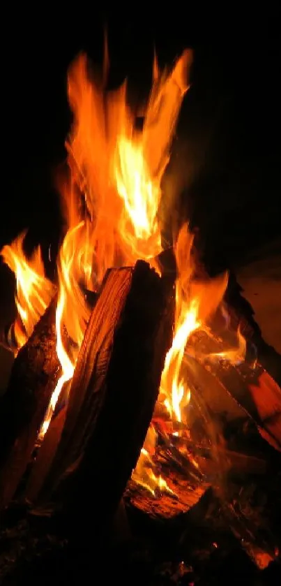 Cozy campfire with vibrant flames against a dark night backdrop.