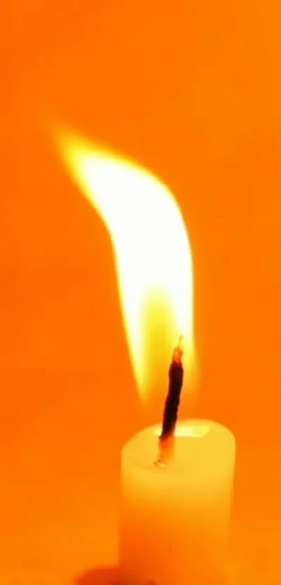 A warm orange candle flame glows brightly against a simple background.