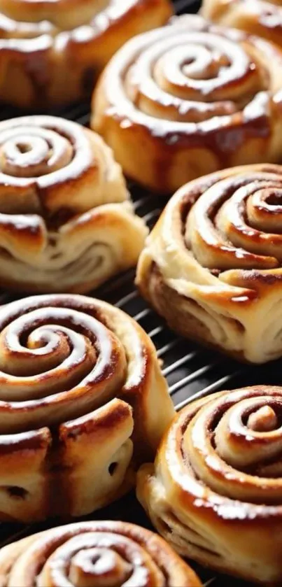 Close-up of freshly baked cinnamon rolls with icing.