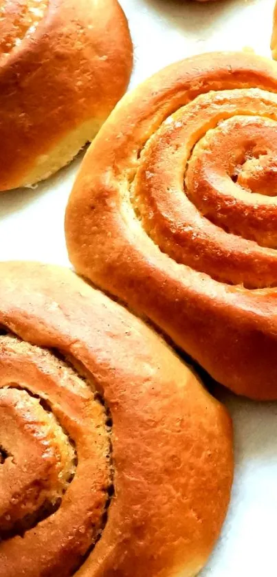 Close-up of golden cinnamon rolls, fresh and inviting.