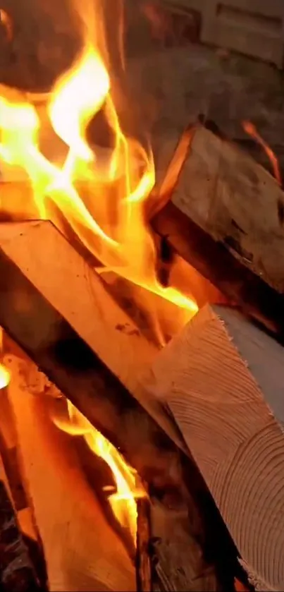 Wallpaper of a warm, glowing fireplace with wooden logs and bright flames.