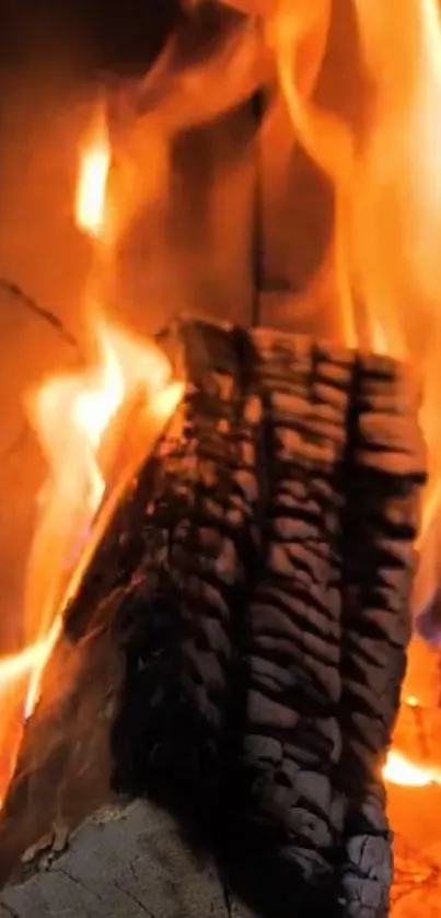 Burning fireplace log with vibrant flames.