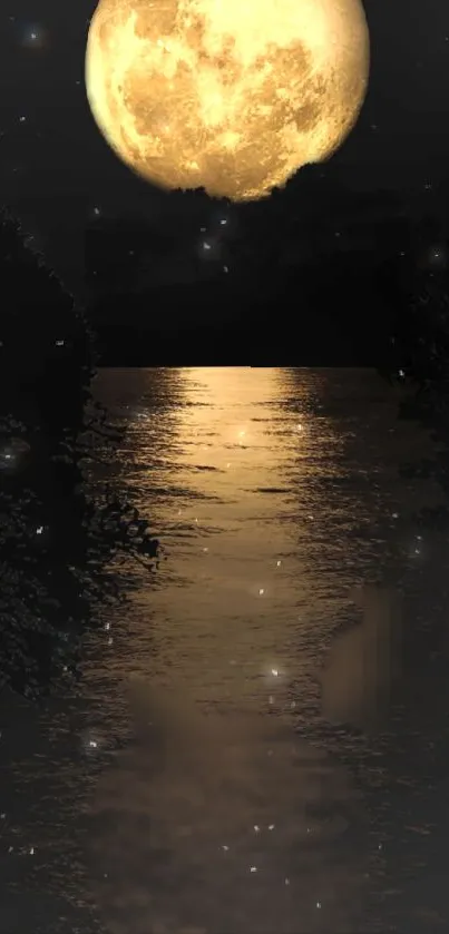 The moon Live Wallpaper