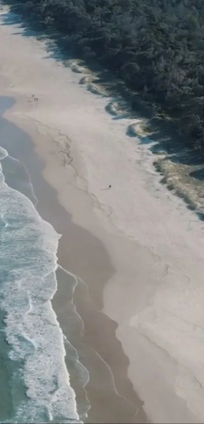 Water Beach Cloud Live Wallpaper