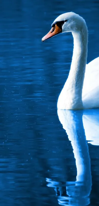 Water Bird Lake Live Wallpaper