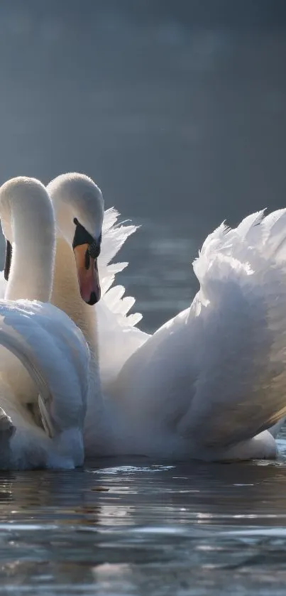 Water Bird Lake Live Wallpaper