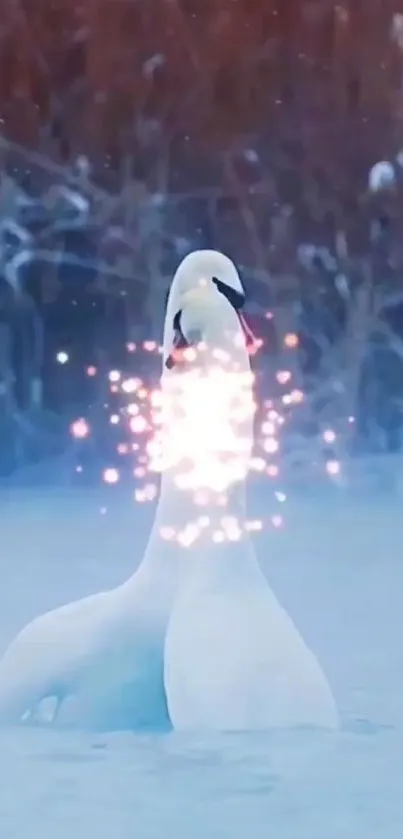 Water Bird Light Live Wallpaper