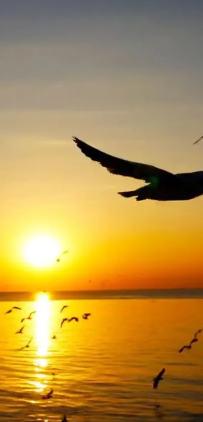 Water Bird Sky Live Wallpaper