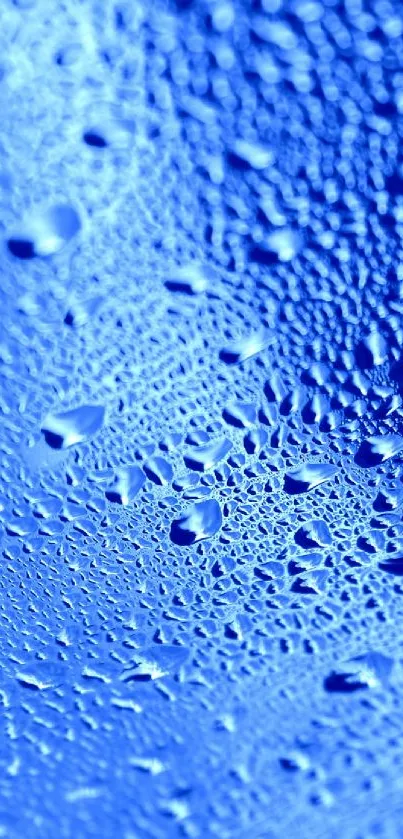 Water Blue Dew Live Wallpaper