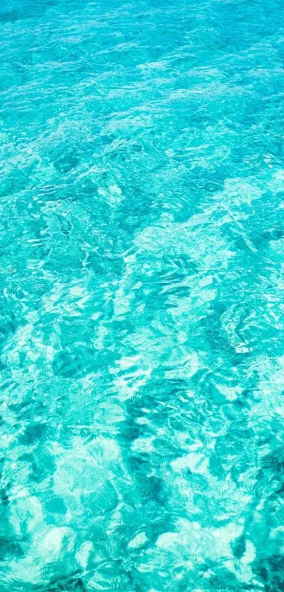 Water Blue Electric Blue Live Wallpaper