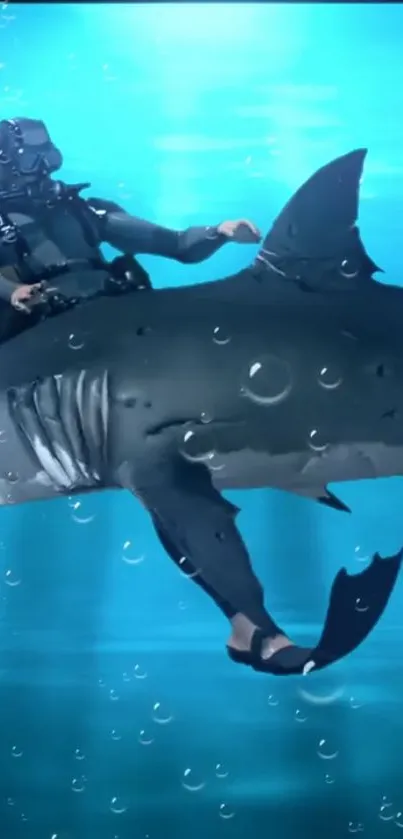 Water Blue Underwater Live Wallpaper