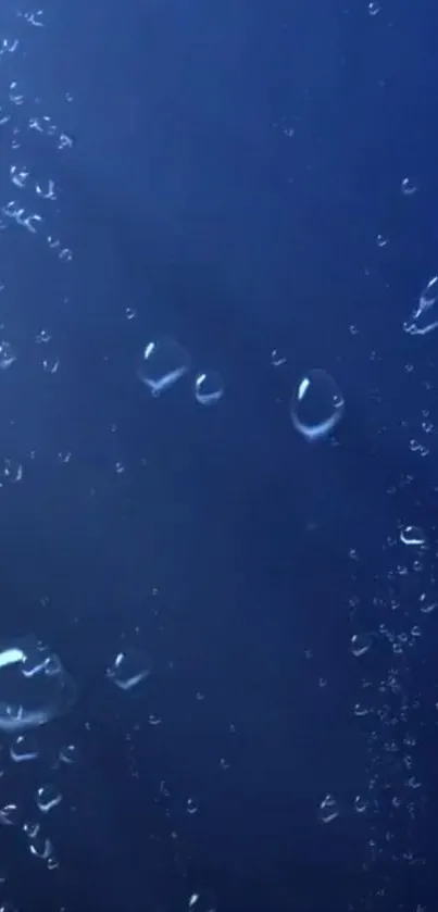 Water Blue Underwater Live Wallpaper