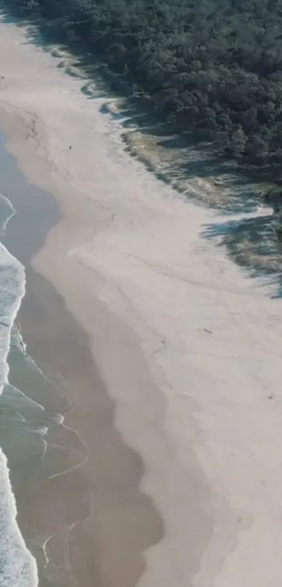 Water Cloud Beach Live Wallpaper