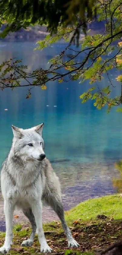 lake  Live Wallpaper