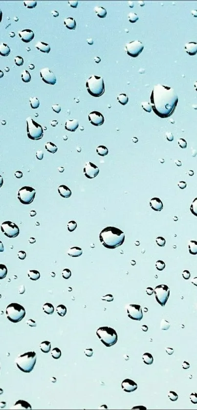 Water droplets on a light blue background, creating a calming mobile wallpaper.