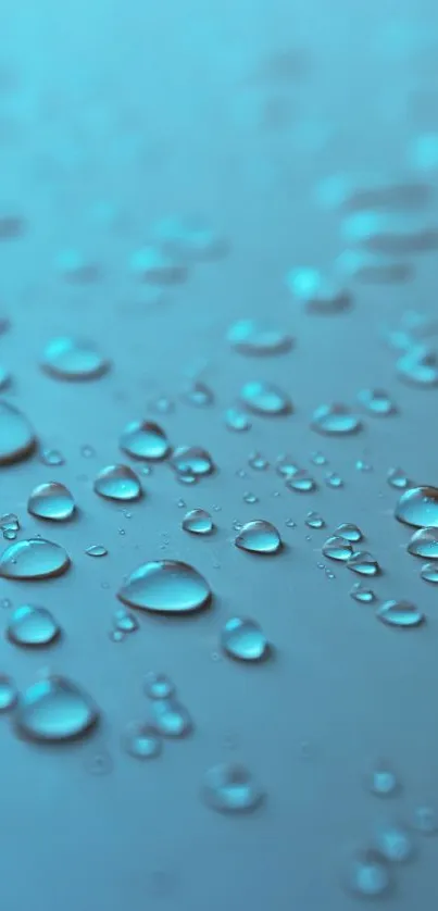 Water droplets resting on a soft light blue background, creating a tranquil scene.