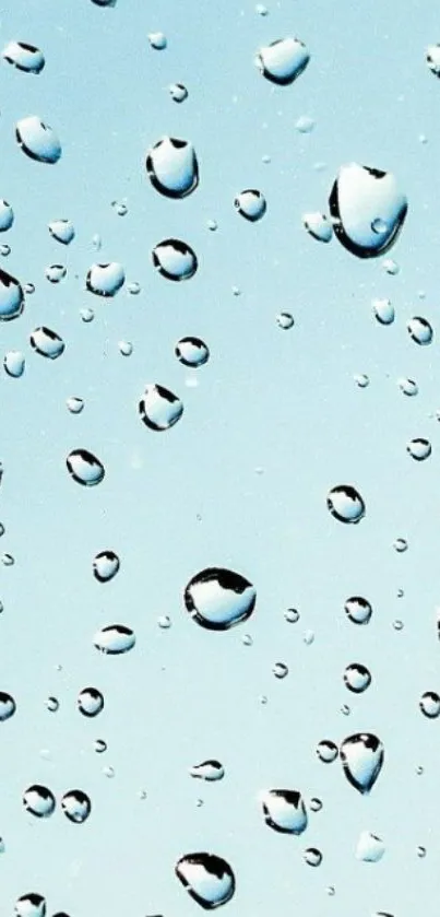 Wallpaper with water droplets on a light blue background.