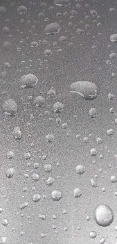 Water droplets on a cool metallic background.