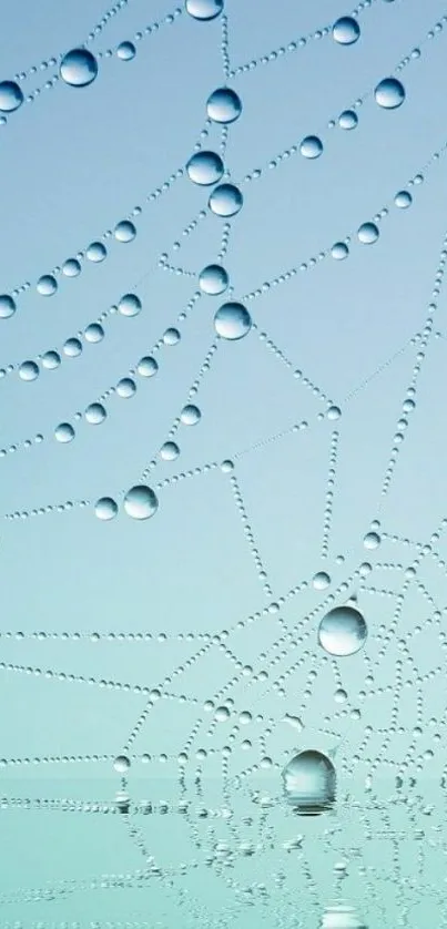 Light blue wallpaper with water droplets on a spider web pattern.