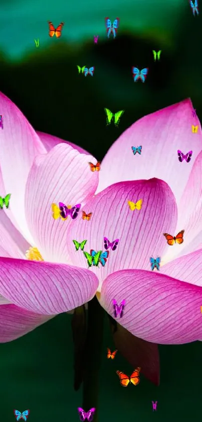 Water Flower Plant Live Wallpaper