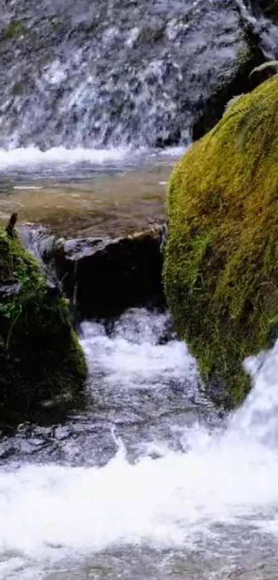 Water Fluvial Landforms Of Streams Natural Landscape Live Wallpaper