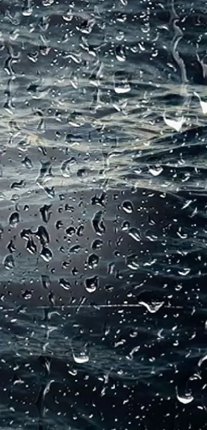 Water Grey Moisture Live Wallpaper