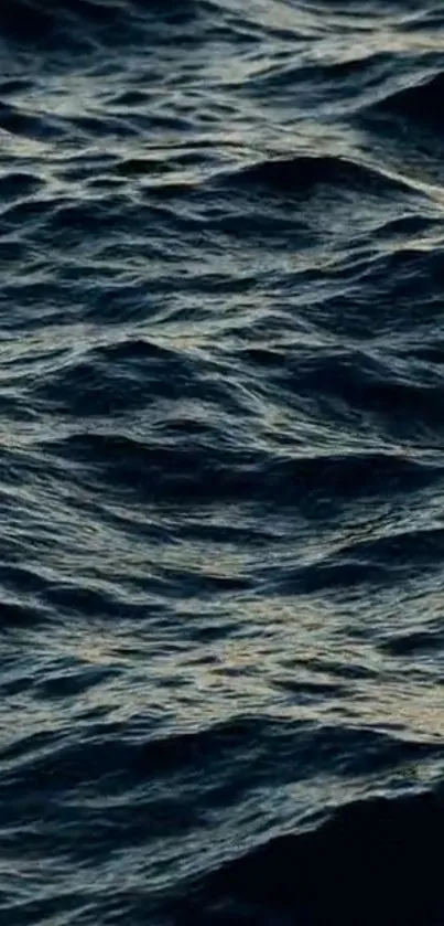 Water Lake Electric Blue Live Wallpaper