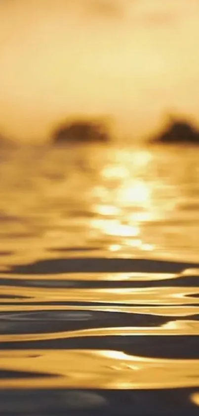 Water Liquid Amber Live Wallpaper