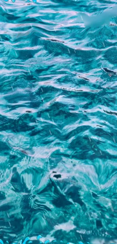 Water Liquid Azure Live Wallpaper