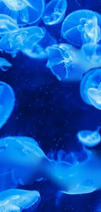 Water Liquid Blue Live Wallpaper