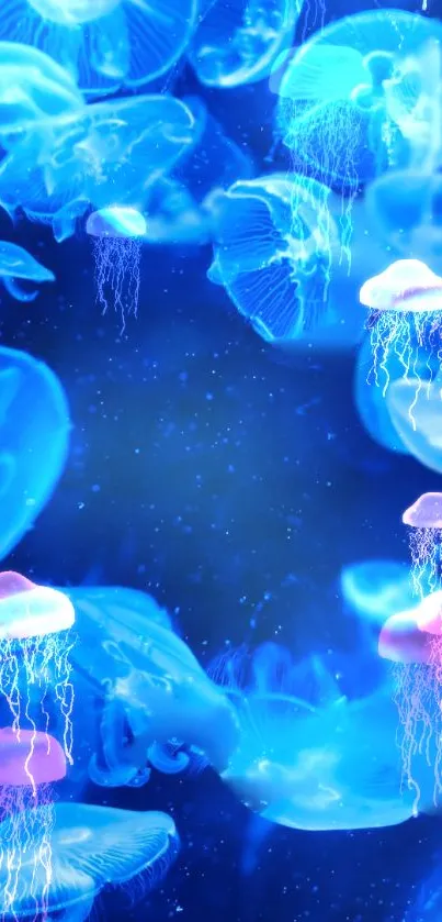 The Ocean  Live Wallpaper